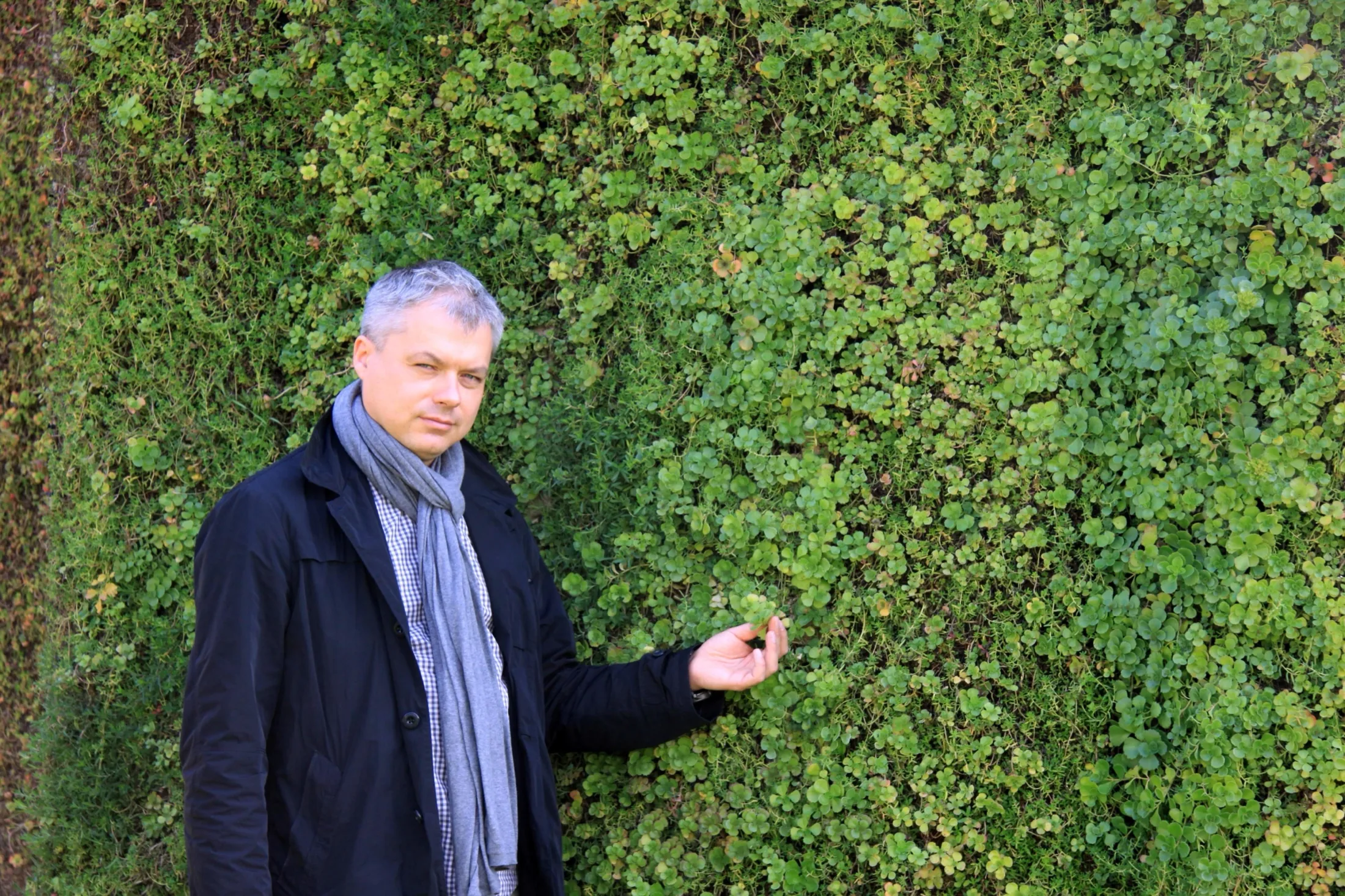 Ekspert iQgarden przy dojrzałej zewnętrznej zielonej ścianie