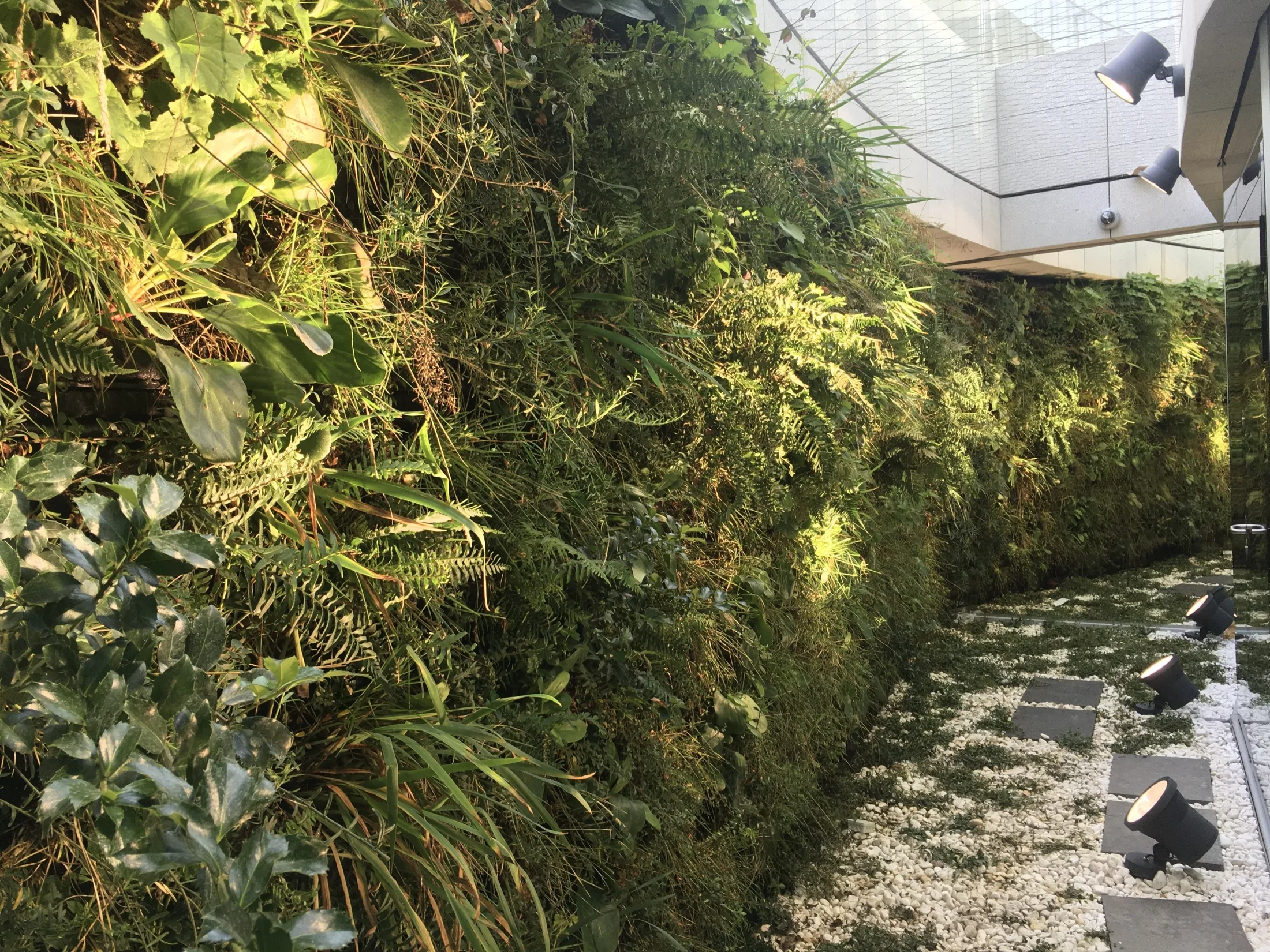 Dojrzały ogród wertykalny iQgarden w przestrzeni architektonicznej