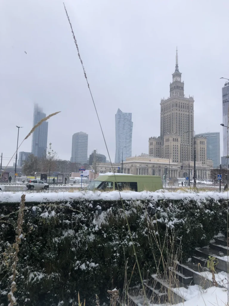 Rotunda PKO BP w Warszawie zimą — zielona ściana zimozielona pod śniegiem