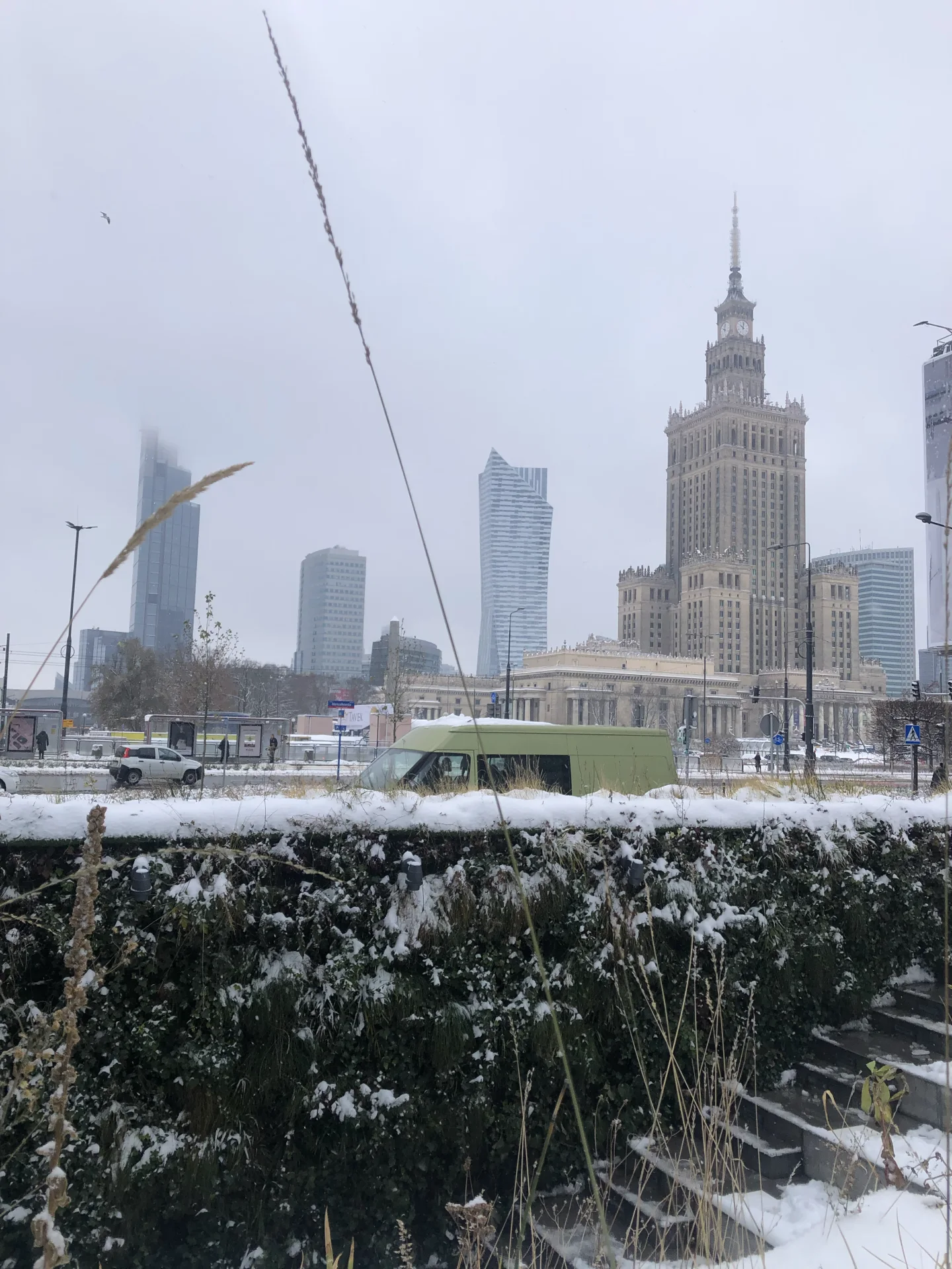 Rotunda PKO BP w Warszawie zimą — zielona ściana zimozielona pod śniegiem